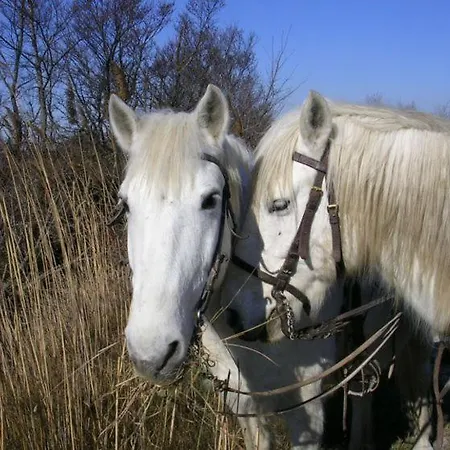 Prázdninový dům Camargue *