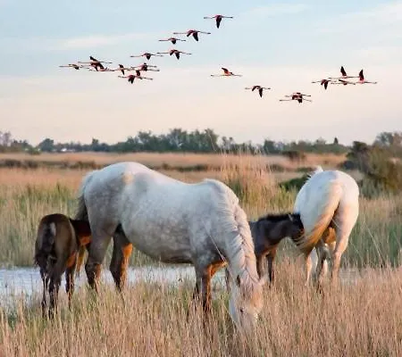 Prázdninový dům Camargue