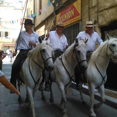 Prázdninový dům Camargue